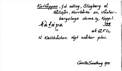 Bild på arkivkortet för arkivposten Kattäppan