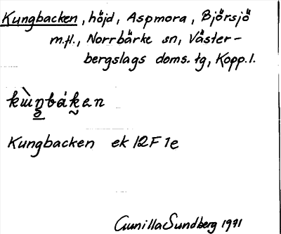 Bild på arkivkortet för arkivposten Kungbacken