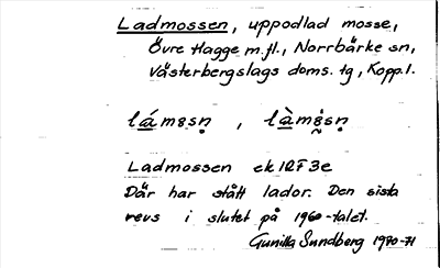 Bild på arkivkortet för arkivposten Ladmossen