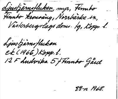 Bild på arkivkortet för arkivposten Ljustjärnsfluken