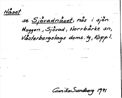 Bild på arkivkortet för arkivposten Näset, se Sjövadnäset