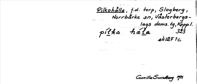 Bild på arkivkortet för arkivposten Pilkohälla