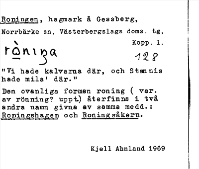Bild på arkivkortet för arkivposten Roningen