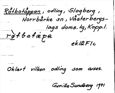 Bild på arkivkortet för arkivposten Rötbotäppan