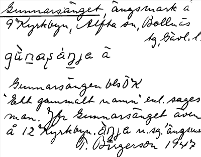 Bild på arkivkortet för arkivposten Gunnarsänget
