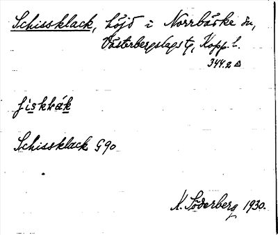 Bild på arkivkortet för arkivposten Schissklack
