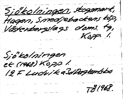 Bild på arkivkortet för arkivposten Sjökolningen