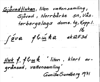 Bild på arkivkortet för arkivposten Sjövadfluken