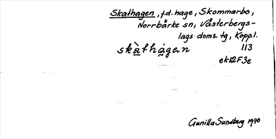 Bild på arkivkortet för arkivposten Skathagen