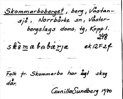 Bild på arkivkortet för arkivposten Skommarboberget
