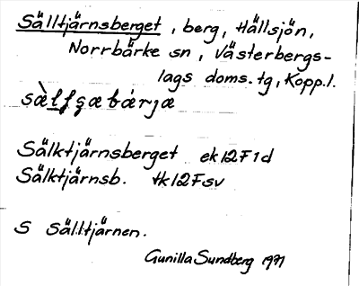 Bild på arkivkortet för arkivposten Sälltjärnsberget