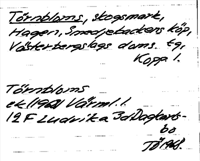 Bild på arkivkortet för arkivposten Törnbloms