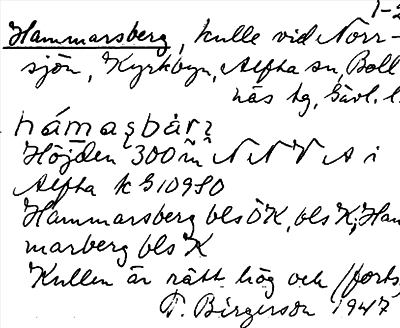 Bild på arkivkortet för arkivposten Hammarsberg