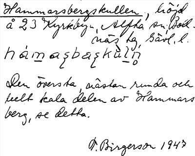 Bild på arkivkortet för arkivposten Hammarsbergskullen