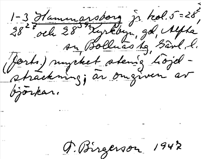 Bild på arkivkortet för arkivposten Hammarsborg