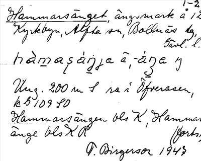 Bild på arkivkortet för arkivposten Hammarsänget