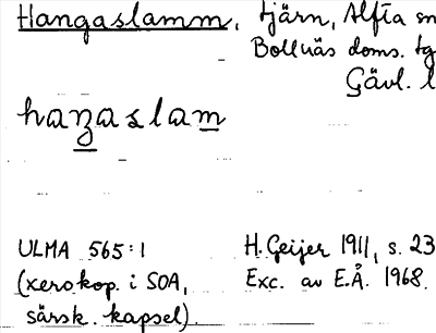 Bild på arkivkortet för arkivposten Hangaslamm