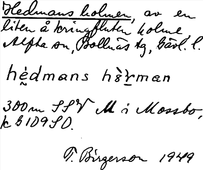 Bild på arkivkortet för arkivposten Hedmans holmen