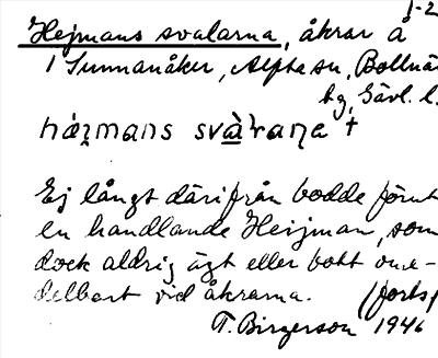 Bild på arkivkortet för arkivposten Hejmans svalarna
