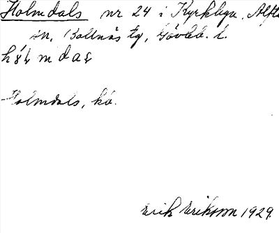 Bild på arkivkortet för arkivposten Holmdals