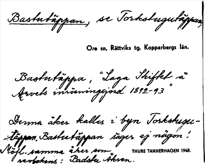 Bild på arkivkortet för arkivposten Bastutäppan