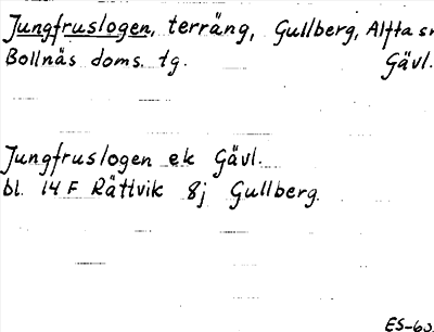 Bild på arkivkortet för arkivposten Jungfruslogen