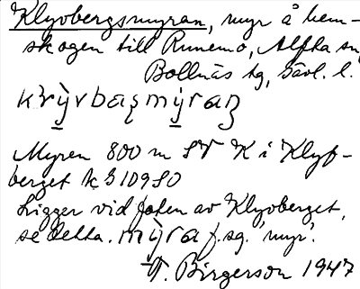 Bild på arkivkortet för arkivposten Klyvbergsmyran