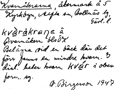 Bild på arkivkortet för arkivposten Kvarnåkrarna