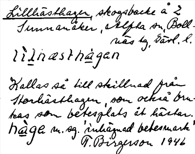Bild på arkivkortet för arkivposten Lillhästhagen