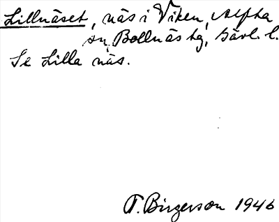 Bild på arkivkortet för arkivposten Lillnäset