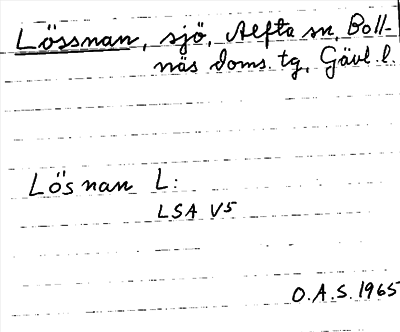 Bild på arkivkortet för arkivposten Lössnan