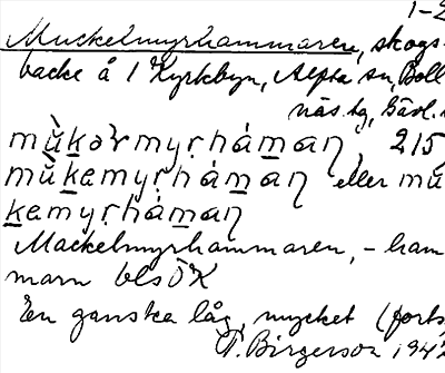 Bild på arkivkortet för arkivposten Muckelmyrhammaren