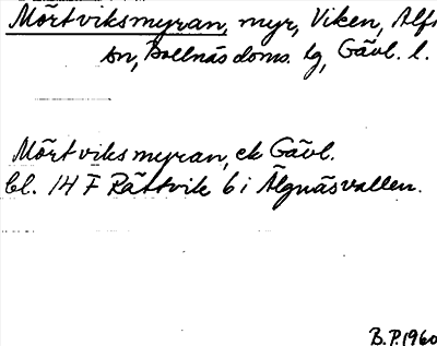 Bild på arkivkortet för arkivposten Mörtviksmyran