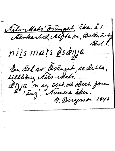 Bild på arkivkortet för arkivposten Nils-Mats´ ösänget