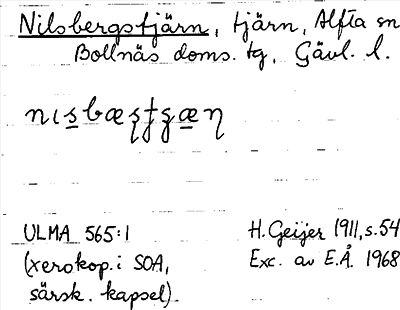 Bild på arkivkortet för arkivposten Nilsbergstjärn