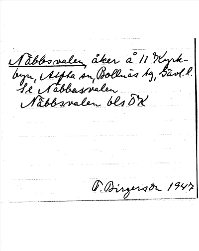 Bild på arkivkortet för arkivposten Näbbsvalen