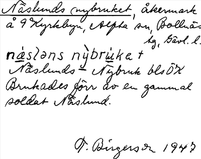 Bild på arkivkortet för arkivposten Näslunds nybruket