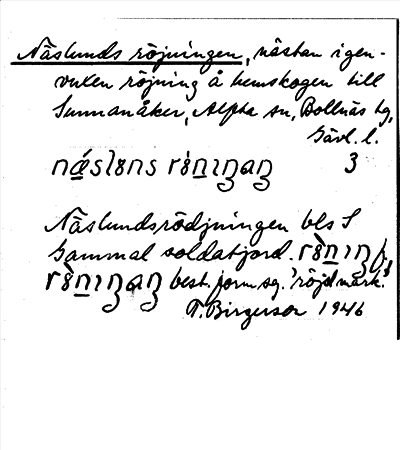 Bild på arkivkortet för arkivposten Näslunds röjningen