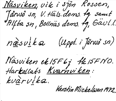 Bild på arkivkortet för arkivposten Näsviken