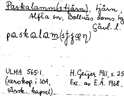 Bild på arkivkortet för arkivposten Paskalamm(stjärn)