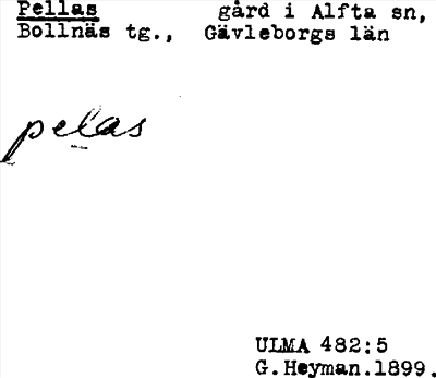 Bild på arkivkortet för arkivposten Pellas
