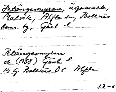 Bild på arkivkortet för arkivposten Petängesmyran