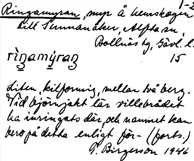Bild på arkivkortet för arkivposten Ringamyran