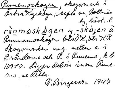 Bild på arkivkortet för arkivposten Runemoskogen