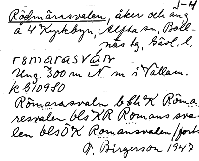 Bild på arkivkortet för arkivposten Rödmärasvalen