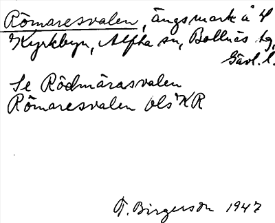 Bild på arkivkortet för arkivposten Römaresvalen