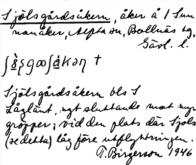 Bild på arkivkortet för arkivposten Sjölsgårdsåkern