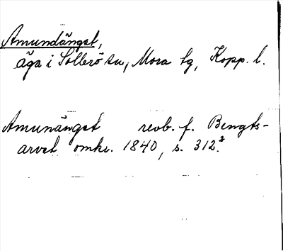 Bild på arkivkortet för arkivposten Amundänget