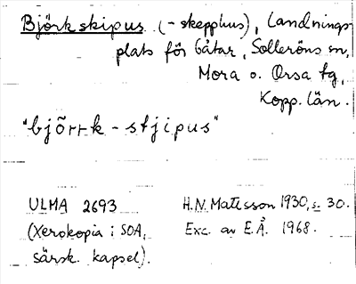 Bild på arkivkortet för arkivposten Björkskipus