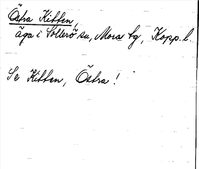 Bild på arkivkortet för arkivposten Östra kitten